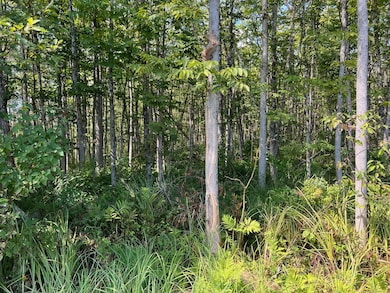 16 Dexter Rd, Garland, ME 04939 - photo 4