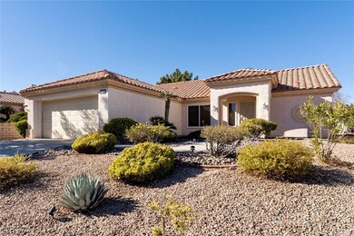 Large front yard with mature desert landscaping