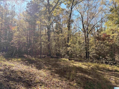 4540 Cabin Rd, McCalla, AL 35022 - photo 4