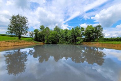 2096 Owens Rd, Felicity, OH 45120 - photo 2