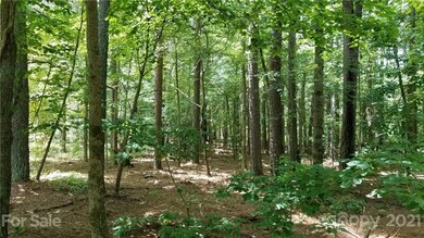 Lot #138 Lot View