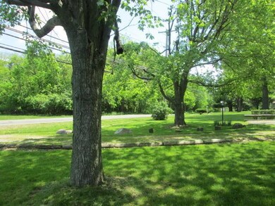 Front yard