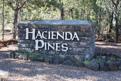 1260 S Deer Ln, Show Low, AZ 85901 - photo 5