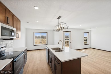 18041 Walnut Cir, Big Lake, MN 55309 - photo 6