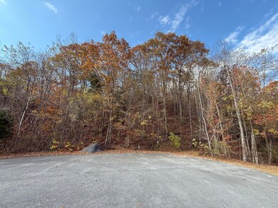 0 Bear Track Way unit 709747, Del Rio, TN 37727 - photo 2