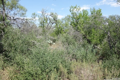 TBD 1343, Castroville, TX 78009 - photo 3