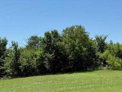 52 Coyote Creek Dr, Gordonville, TX 76245 - photo 7