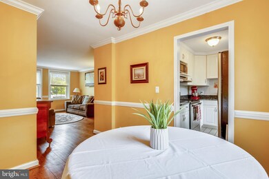 3359 S Wakefield St unit A2, Arlington, VA 22206 - photo 4