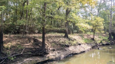000 S Alley St unit Big Cypress River, Jefferson, TX 75657 - photo 2