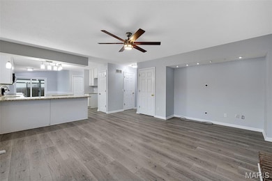 6 Covered Wagon Trail Ct, Saint Peters, MO 63376 - photo 5