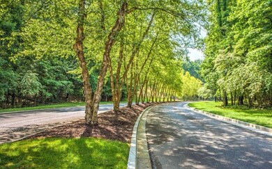 859 Sedge Ln, Loudon, TN 37774 - photo 4