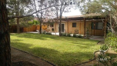 Back Yard Lawn