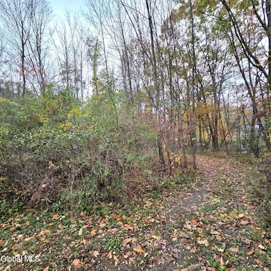 L53 Tarrytown Rd, Clarksville, NY 12041 - photo 6