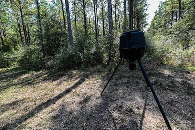 0 Texas 105, Hull, TX 77564 - photo 5