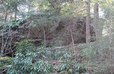 00 Elliott Rd, Hico, WV 25854 - photo 5