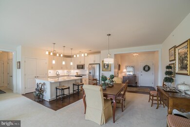 10520 Resort Rd unit 302, Ellicott City, MD 21042 - photo 5