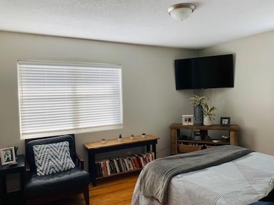 2921 Meadow Ln, West Des Moines, IA 50265 - photo 4