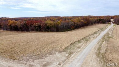 Tract 10 Polston Ln, Hickory Grove Township, MO 63357 - photo 4