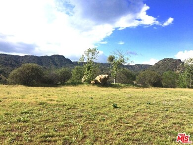 935 Cold Canyon, Calabasas, CA 91302 - photo 6