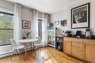 182 W Brookline St unit 4, Boston, MA 02118 - photo 4