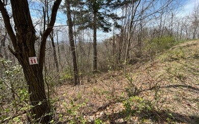 Additional View