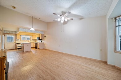 5801 Thada Ln, Columbus, OH 43229 - photo 3