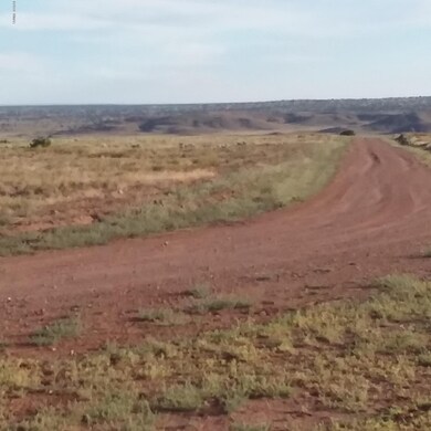 Zema.40ac3