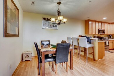 353 Ojibway Path Lino Lakes MN - MLS Sized - 006 -