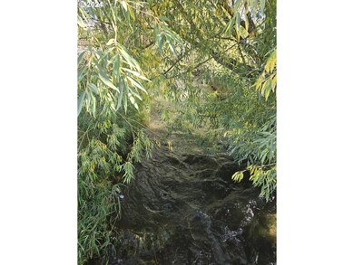 0 S River St, Enterprise, OR 97828 - photo 4