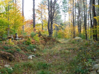 0 2nd New Hampshire Turnpike N unit 6, Deering, NH 03244 - photo 5