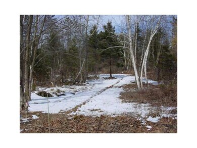 Land/Lot. Proposed driveway.