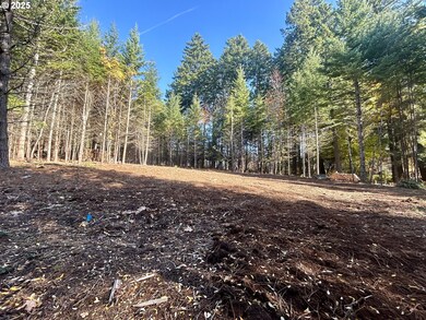 9562 Cook-Underwood Rd, Underwood, WA 98651 - photo 7