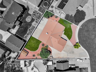 2.Bird's Eye View