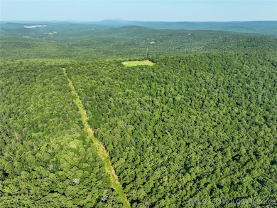 1 SE Hulsey Prairie, Panola, OK 74578 - photo 4