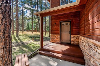 316 N Walnut St, Woodland Park, CO 80863 - photo 3