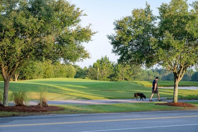 94 Green Heron St unit Lot 47, Vernon, FL 32462 - photo 4