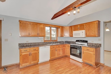 309 Calla Dr, Manhattan, IL 60442 - photo 7