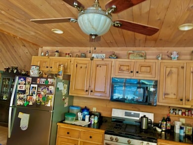 156 Peter Knob Rd, Blue Ridge, GA 30513 - photo 7