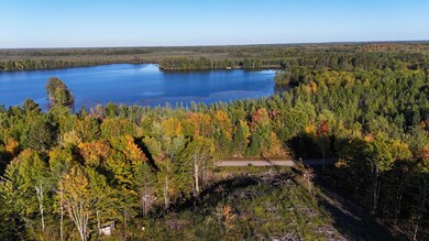 ON S Newman Lake Rd, Fifield, WI 54552 - photo 2