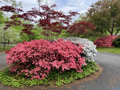 4051 Free Union Rd, Charlottesville, VA 22901 - photo 6