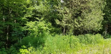 1000 Green Bay, Peacham, VT 05862 - photo 5