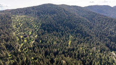 3900 Cottonwood Ranch Trail, Bozeman, MT 59718 - photo 4