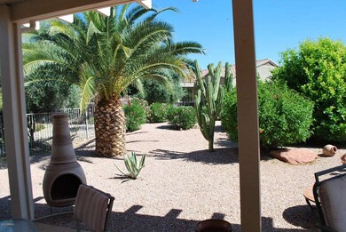 Back yard
