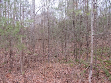 Nice laying land