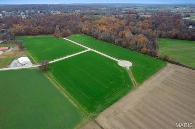 325 Bertha E Dumey Dr, Benton, MO 63736 - photo 5