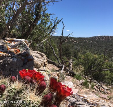 0 Juniperwood Ranch Lot 269 (17)