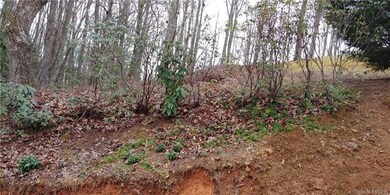 15 Gertrude Ln unit 18A, Candler, NC 28715 - photo 3