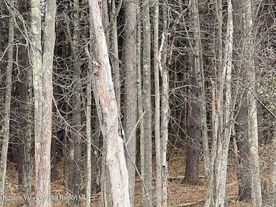 00 Schoharie Turnpike, Greenville, NY 12083 - photo 5