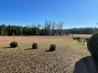 2548 Halifax Rd, Chatham, VA 24531 - photo 7