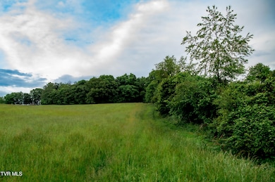 2200 Rd, Limestone, TN 37681 - photo 2